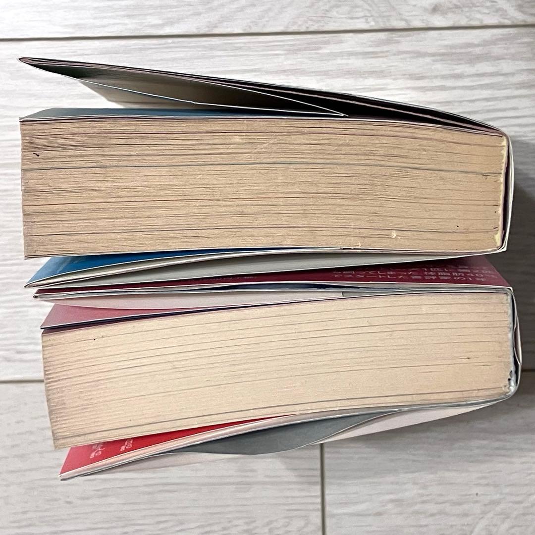 絶版　だらしな日記　やっぱりだらしな日記+だらしなマンション購入記　２冊セット