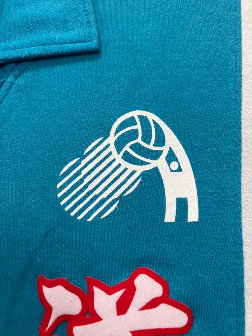 バレーボール ユニフォーム　超激レア‼️さわやか杯北海道選抜‼️主将‼️