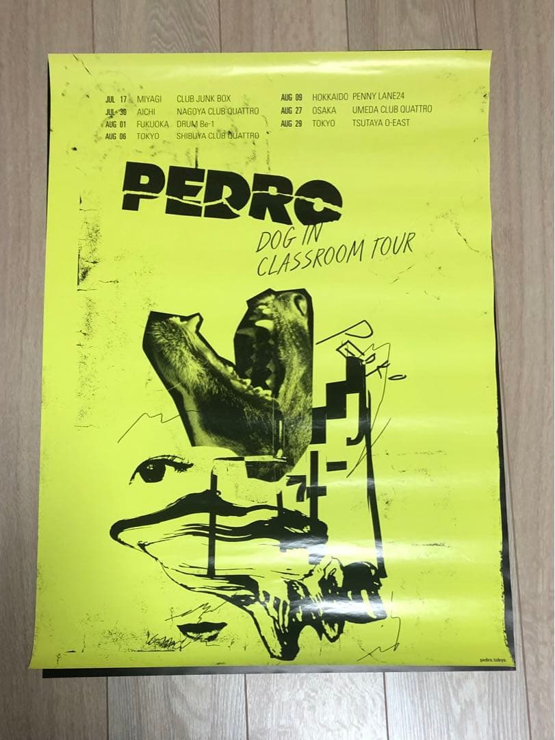 【バラ売り可】PEDRO CD 初回生産限定盤等7点セット＋ポスター4枚