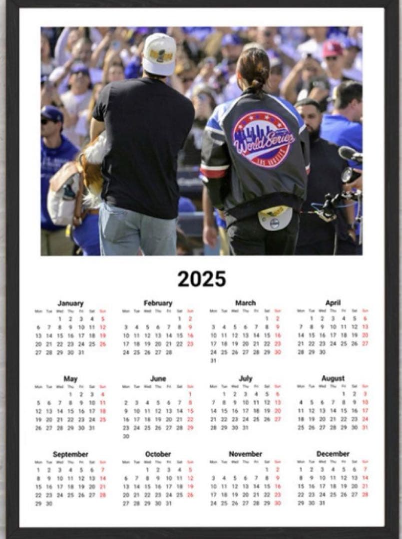 MLB 【 大谷翔平 田中真美子 】USA1ドル札フレーム証明書付、クオカード他