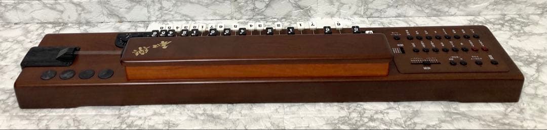 【完動品 美品】SUZUKI 電子大正琴 TES-101 16種類の音色 希少品