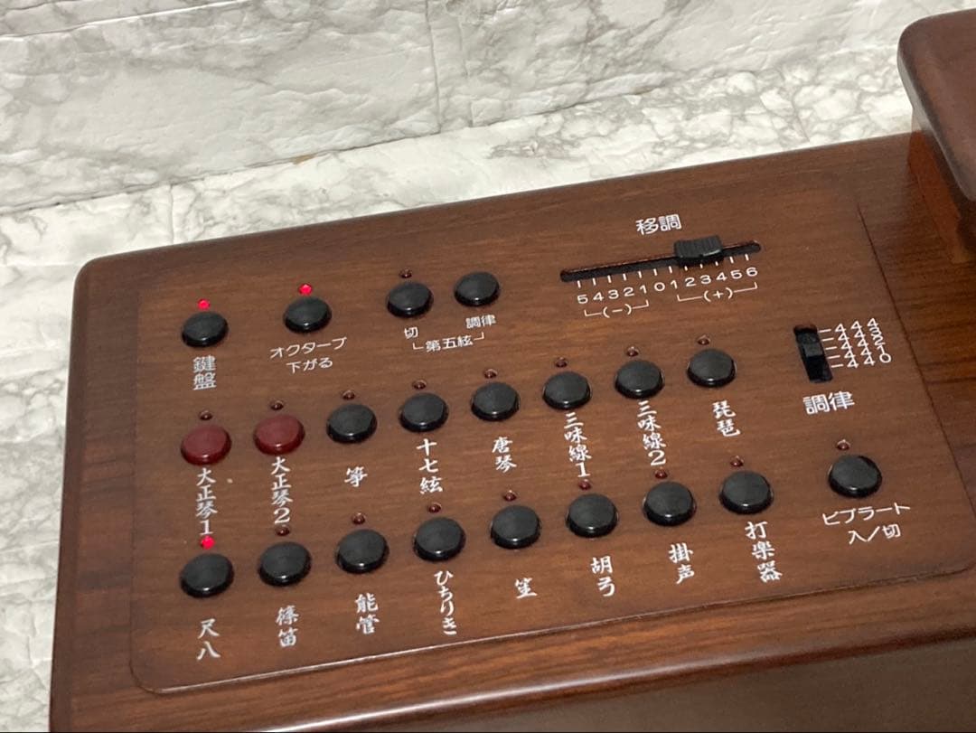 【完動品 美品】SUZUKI 電子大正琴 TES-101 16種類の音色 希少品