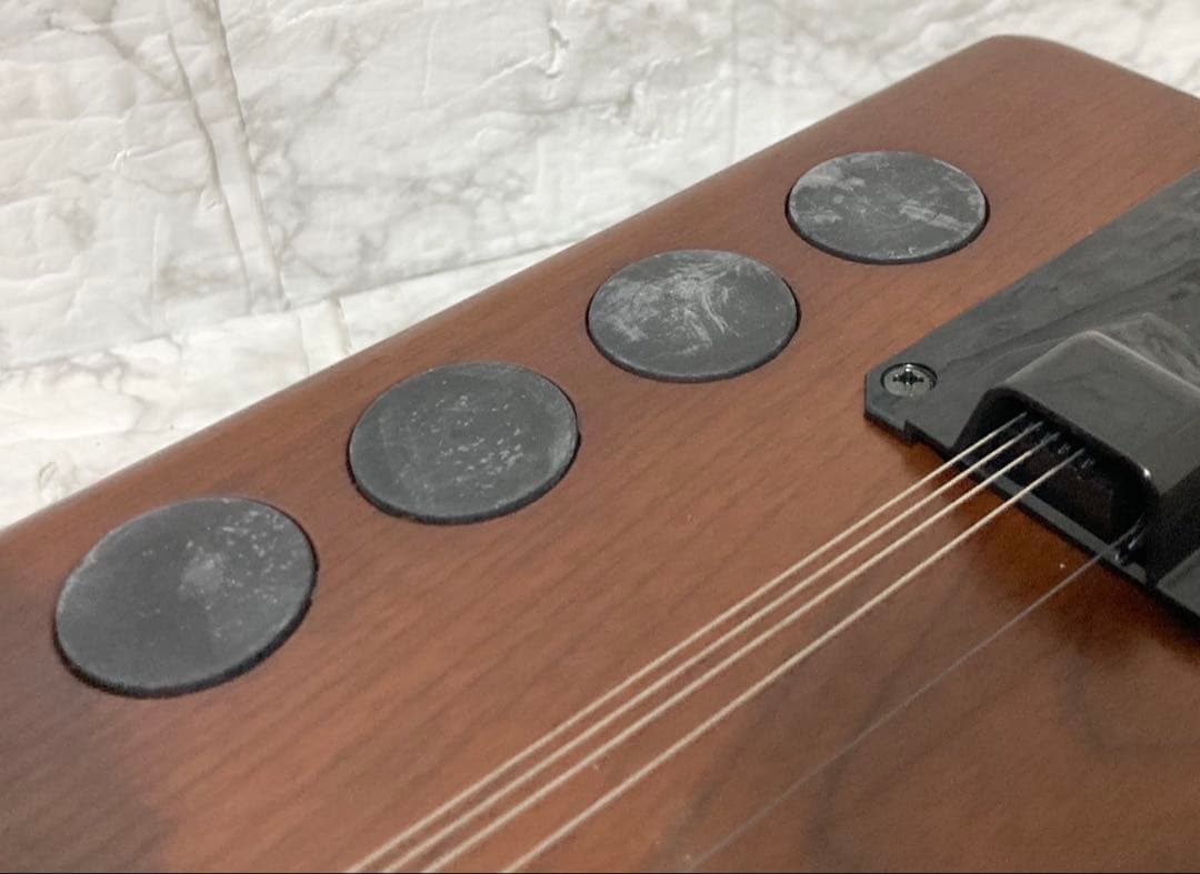 【完動品 美品】SUZUKI 電子大正琴 TES-101 16種類の音色 希少品