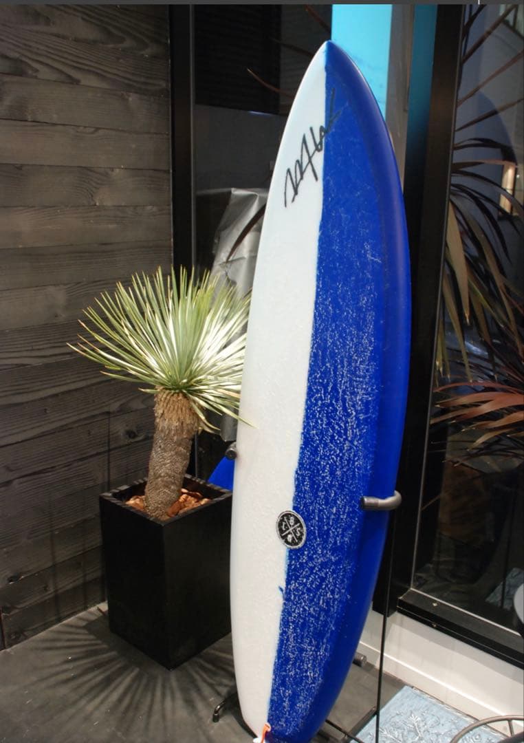 wtw lazy boy skill レイジーボーイスキル サーフボード湘南手渡