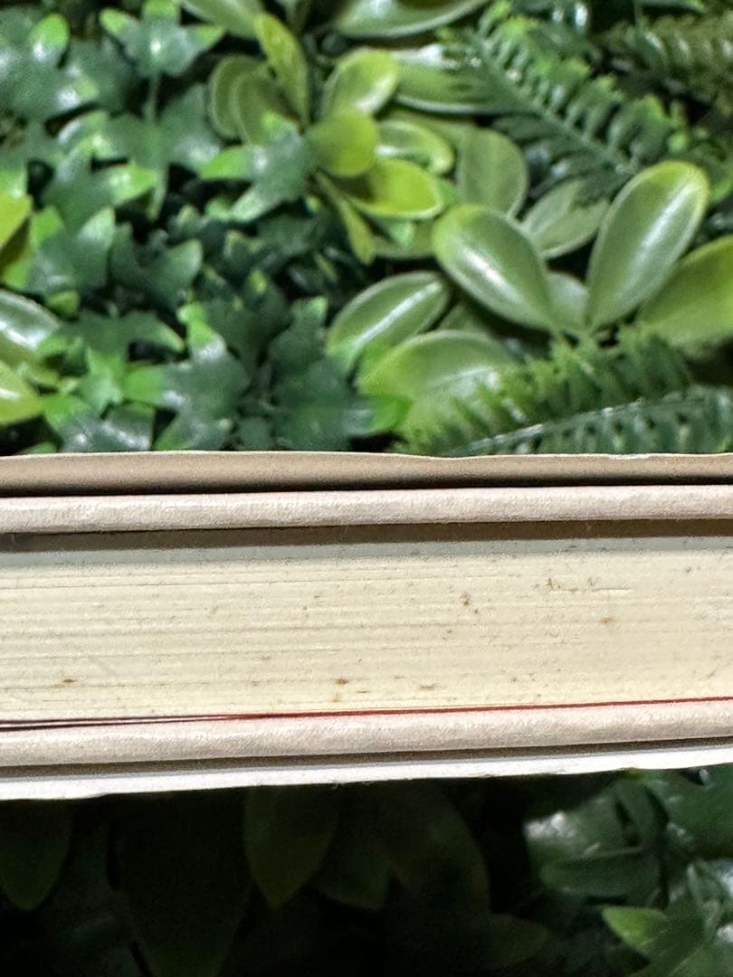 タブーの書 アラン・ワッツ 哲学 思想書