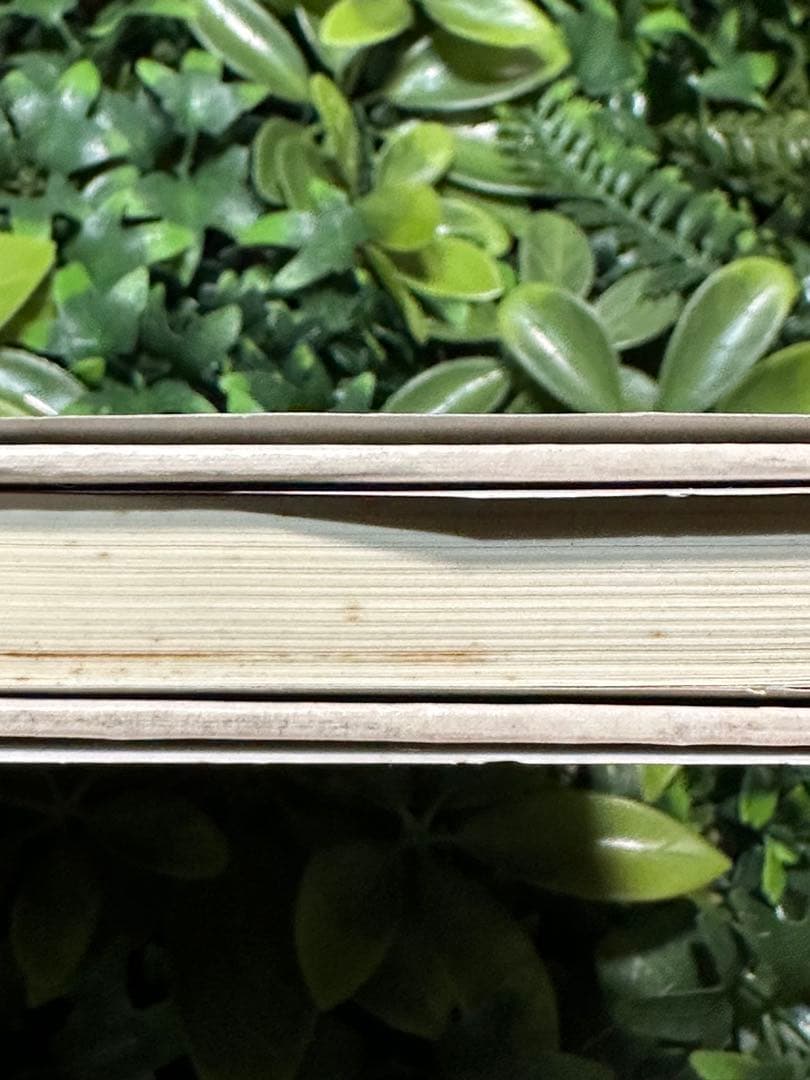 タブーの書 アラン・ワッツ 哲学 思想書