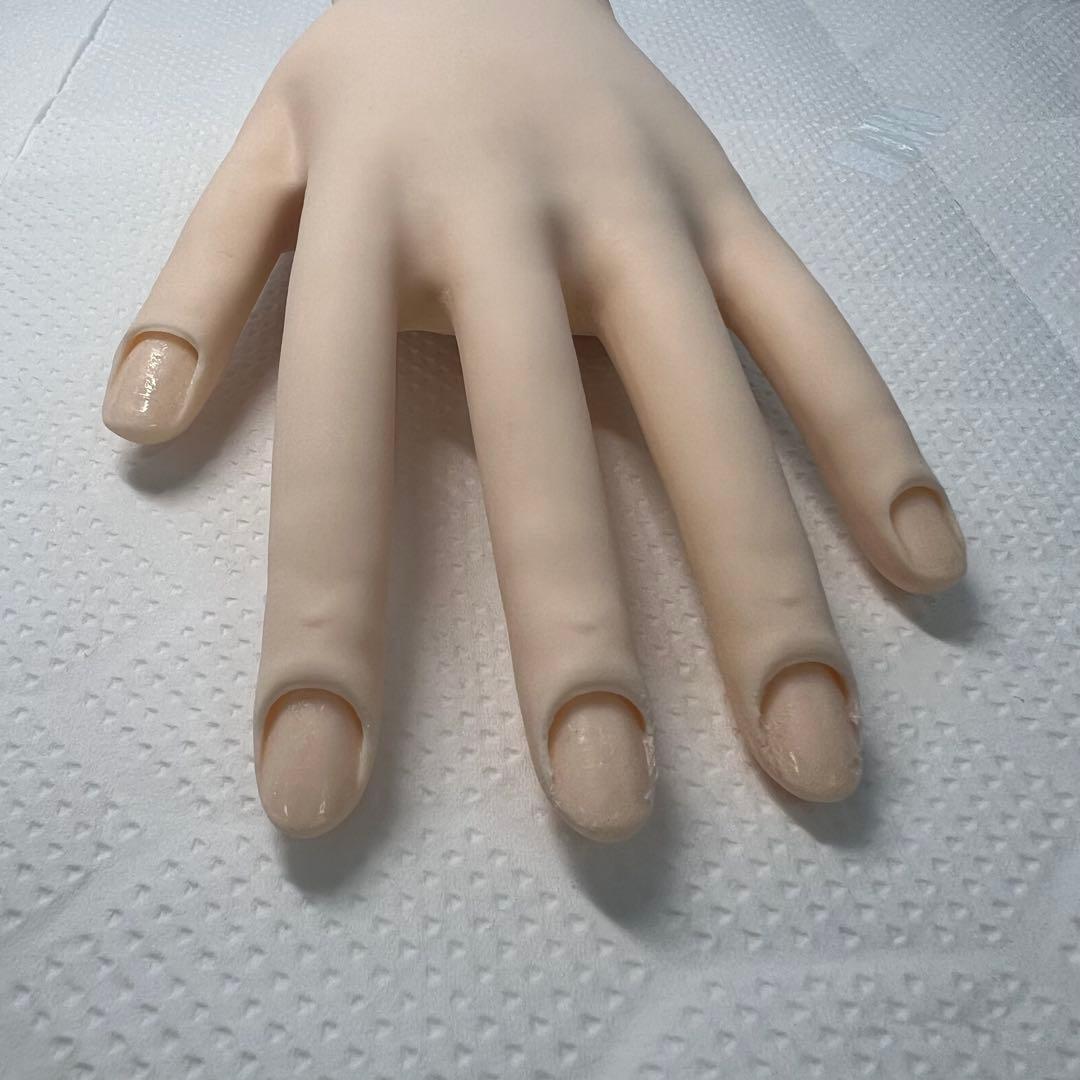 ネイリスト技能検定 認定モデルハンド