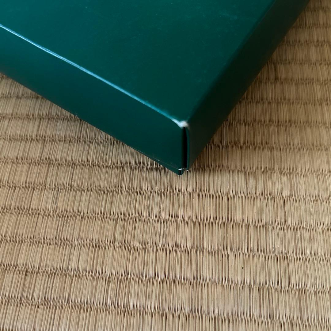 Villeroy&Boch バスケット　パスタ皿２枚