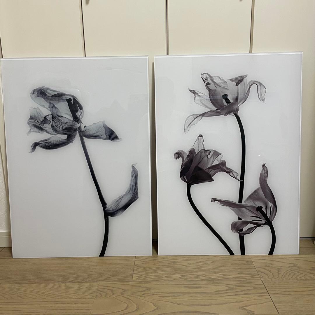 Francfranc　アクリルアート　2枚