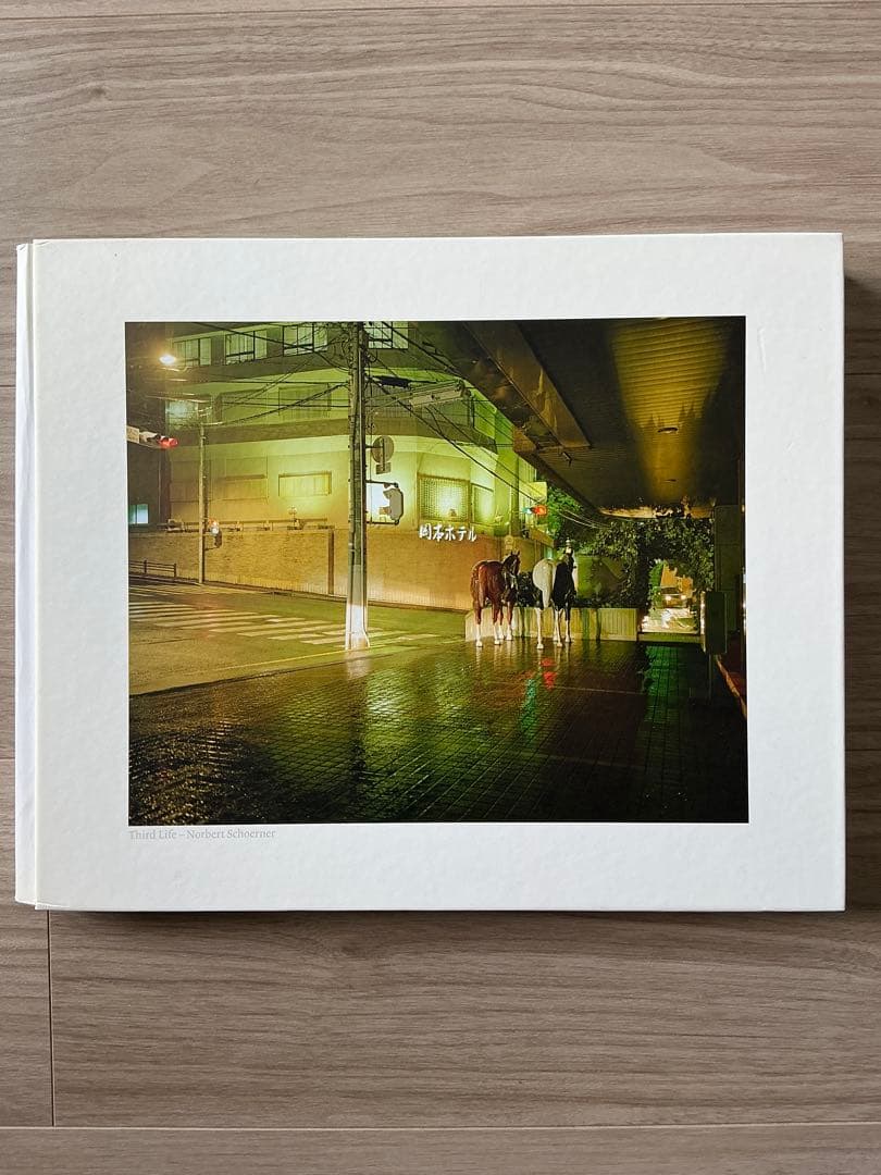 Third Life ノバート・ショルナー