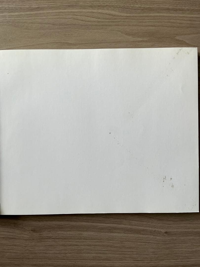 Third Life ノバート・ショルナー