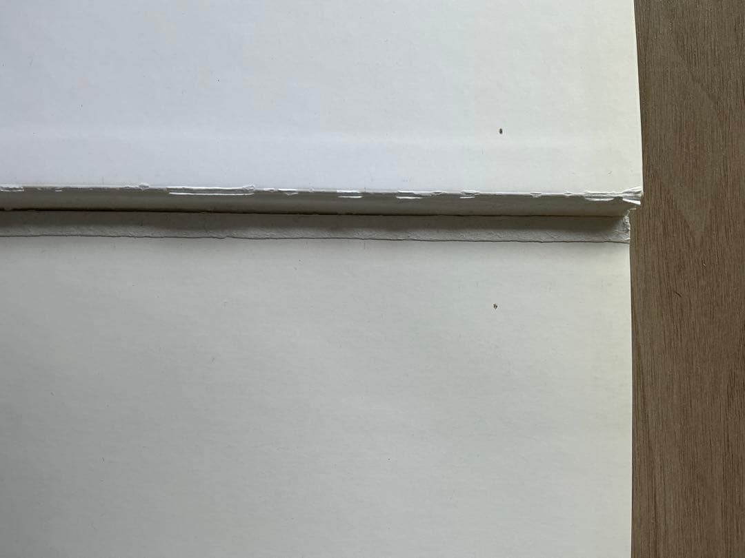 Third Life ノバート・ショルナー