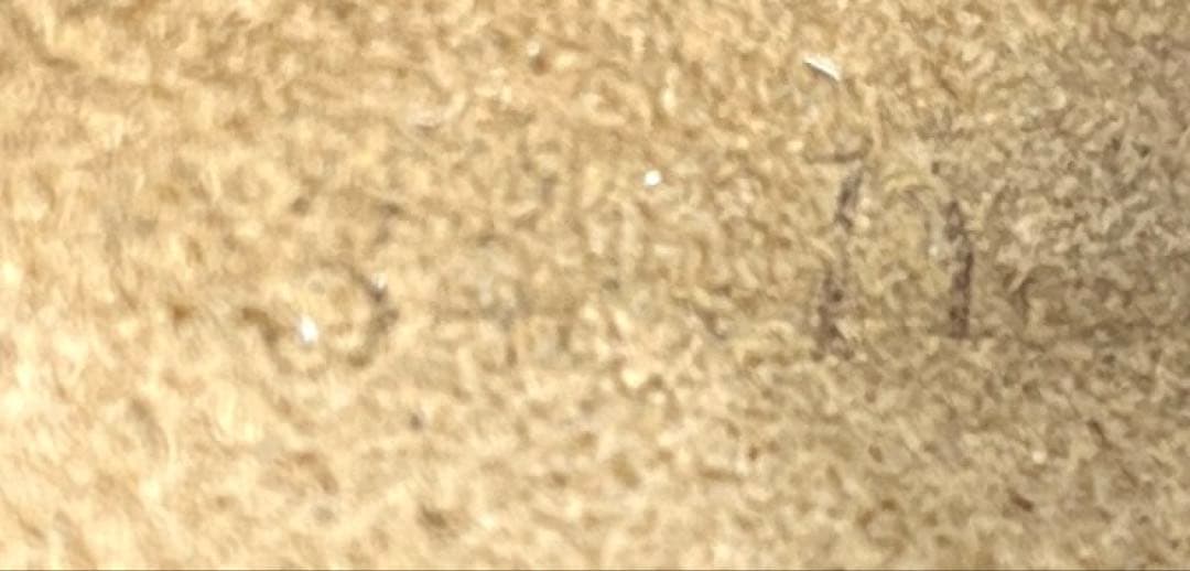 美品40BIRKENSTOCK ボストン トープ サンダルレギュラー幅