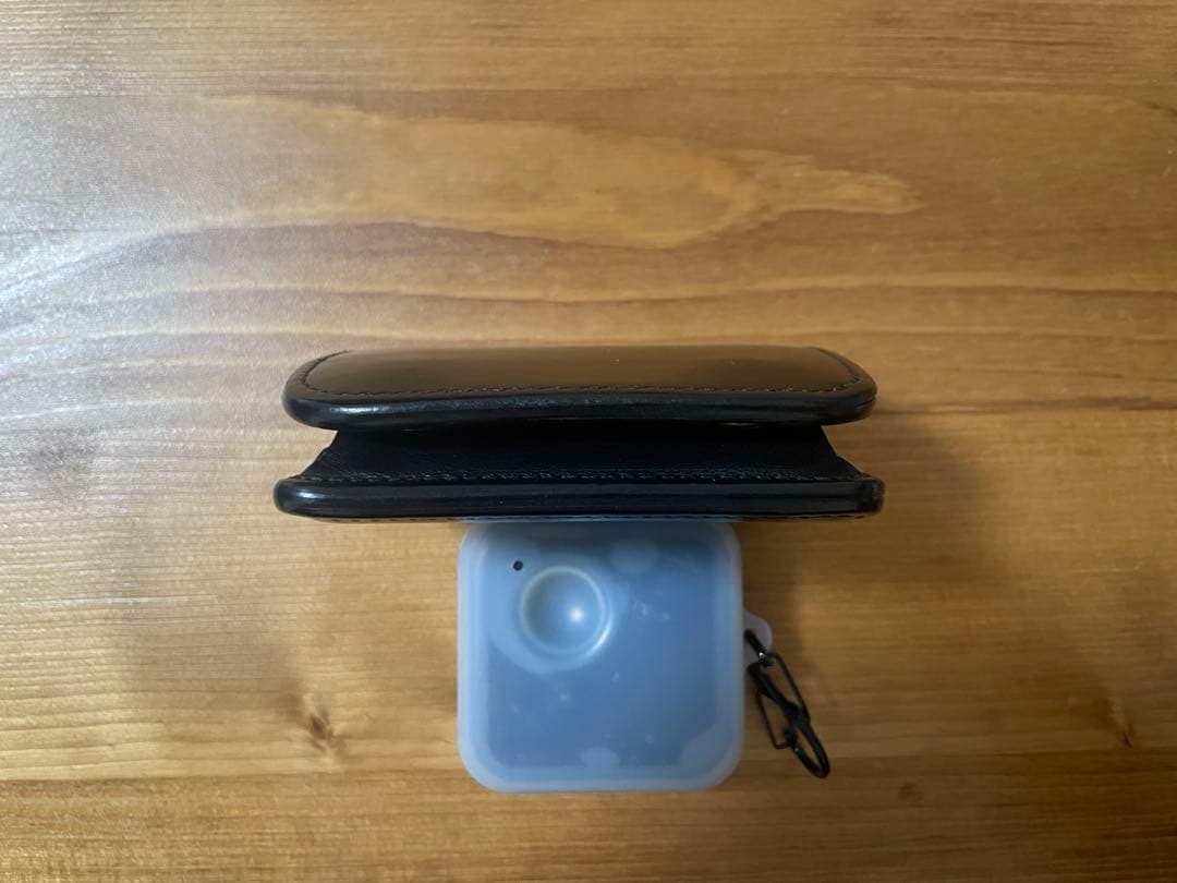 小物 WILDSWANS CASA