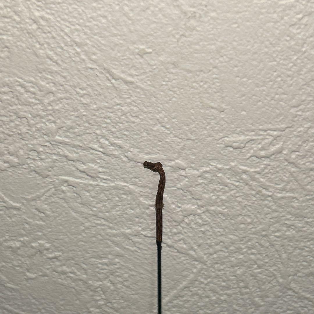 【美品】ヘラ竿 淡月16尺 日暮19尺