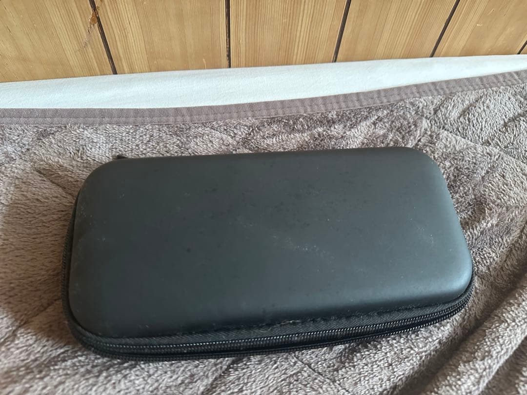 Nintendo Switch Lite グレー ケースとカセット付き