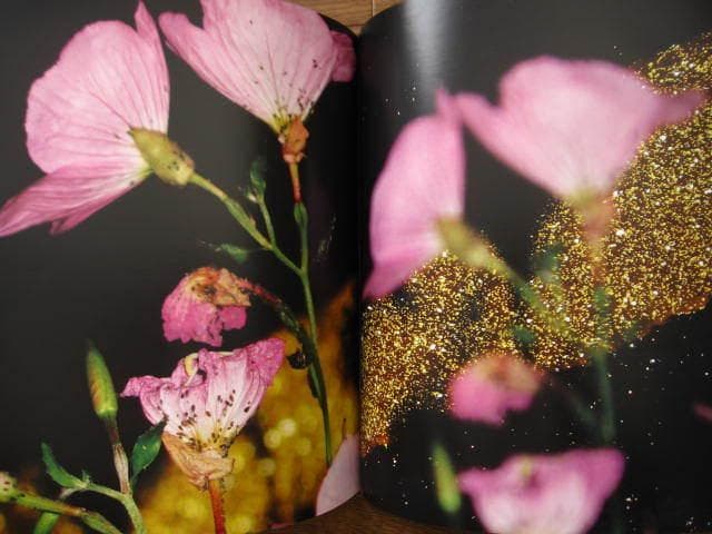 Father　Harley Weir　ハーリー・ウィアー　限定1000部