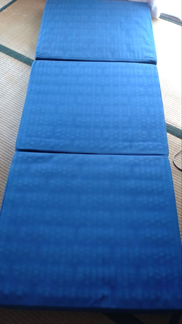 わらびさん専用ヘルスウェーブセミシングルマットレス　NSP施術用マット