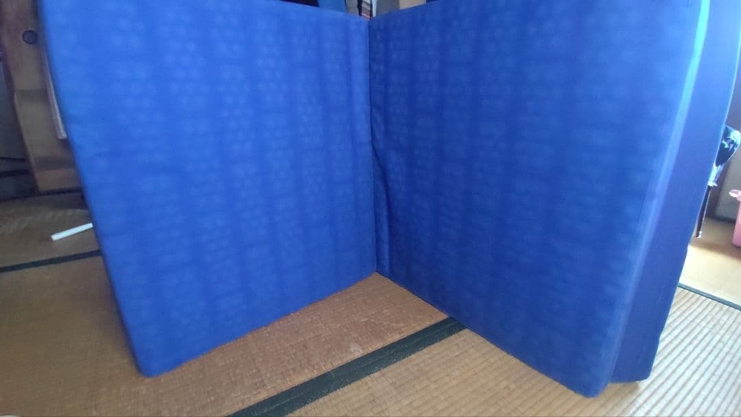 わらびさん専用ヘルスウェーブセミシングルマットレス　NSP施術用マット