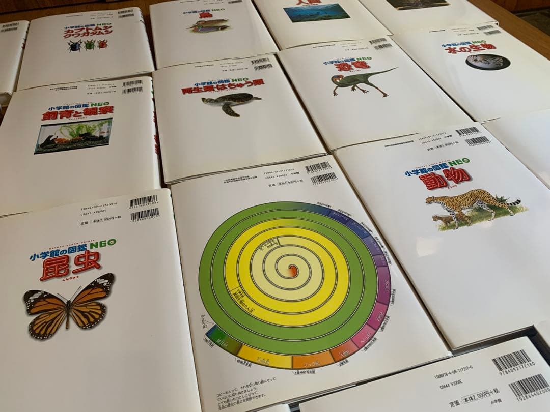 美品　小学館の図鑑neo 18冊セット