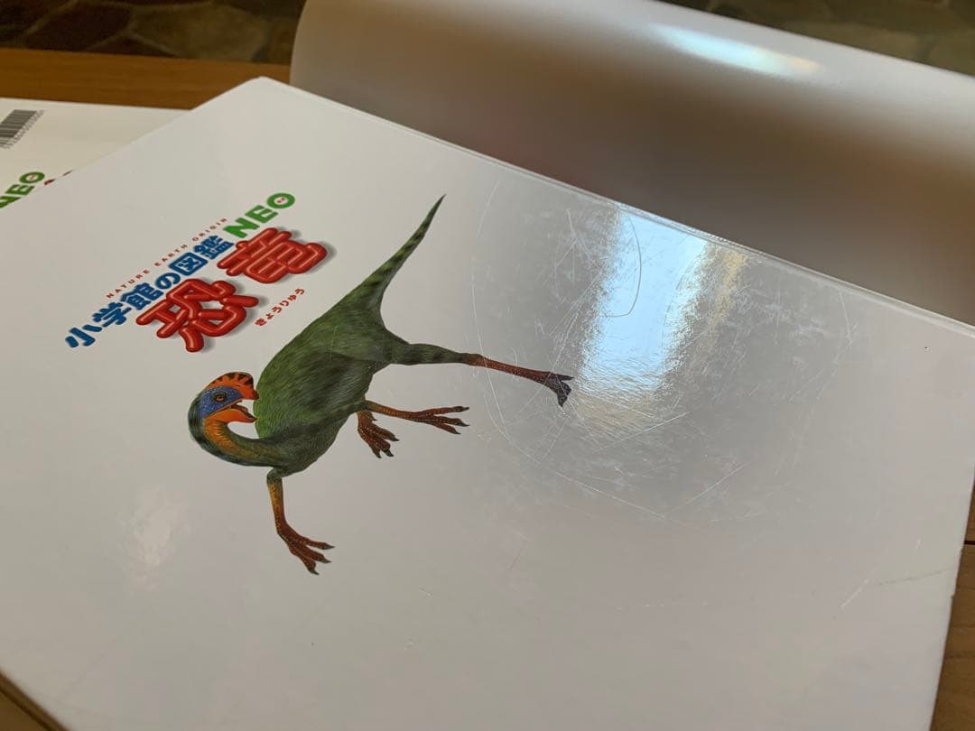 美品　小学館の図鑑neo 18冊セット