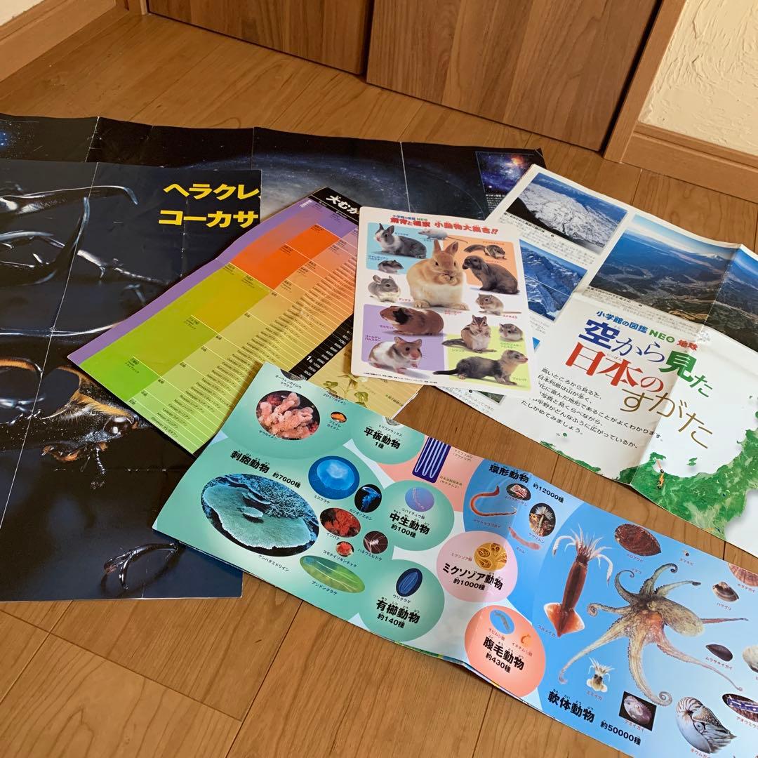 美品　小学館の図鑑neo 18冊セット