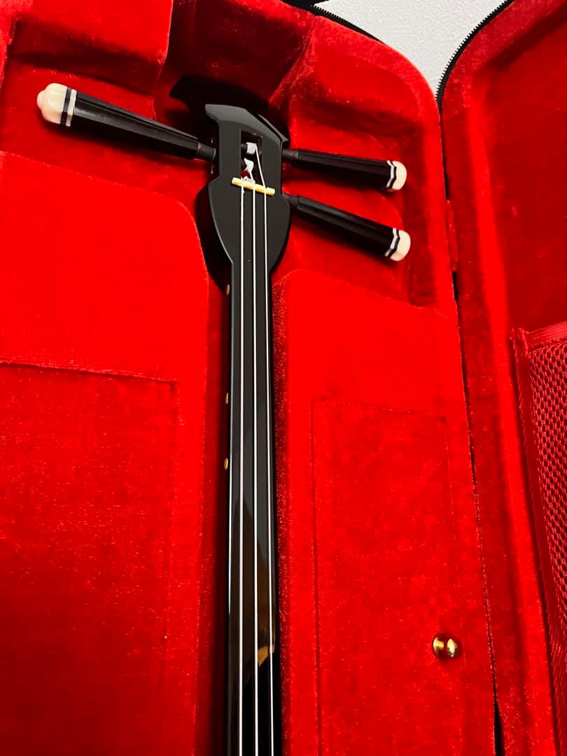 三線 沖縄 蛇革模様 ハードケース付