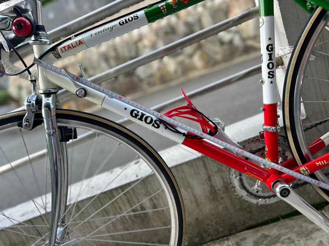 ジオス　イタリアンカラーロードパイク