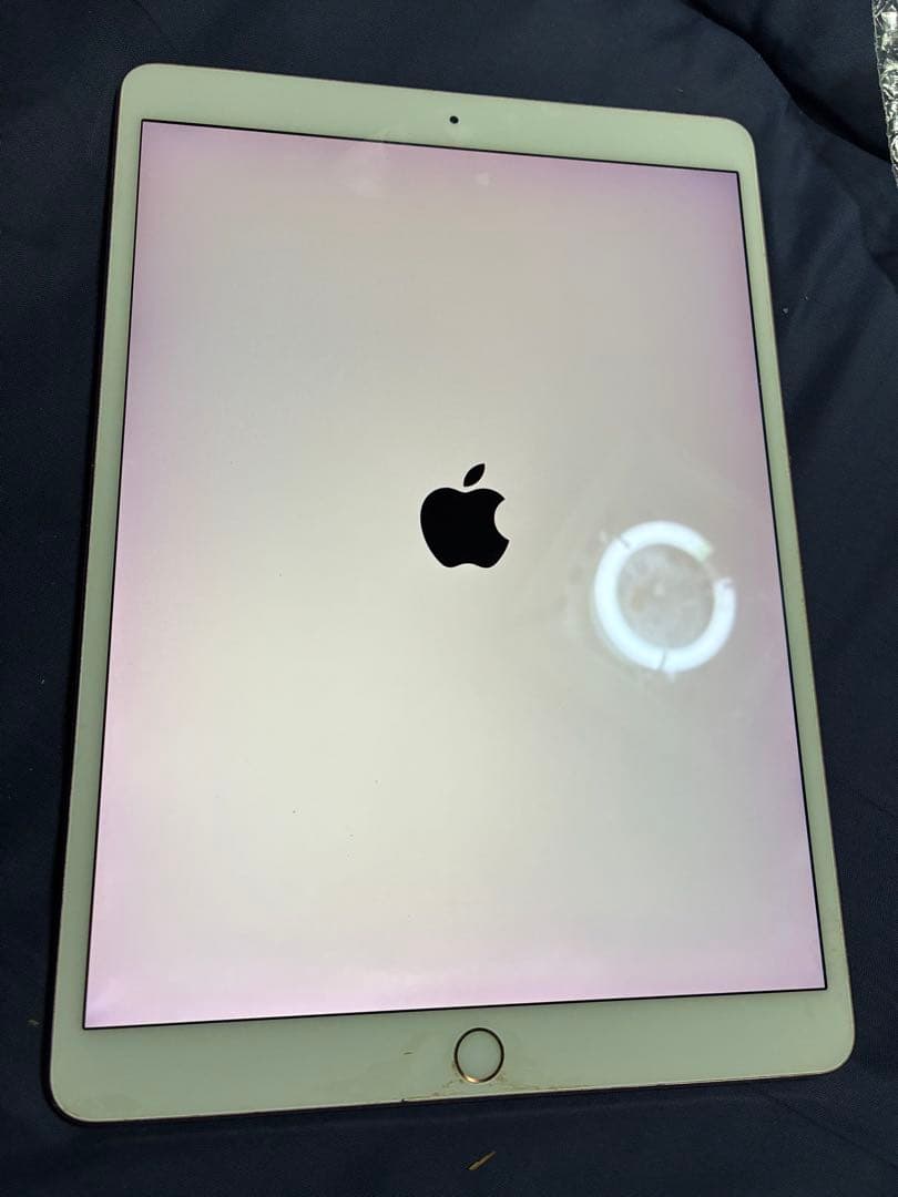 Apple iPad pro 512GB 第一世代10.5インチ シルバー 本体