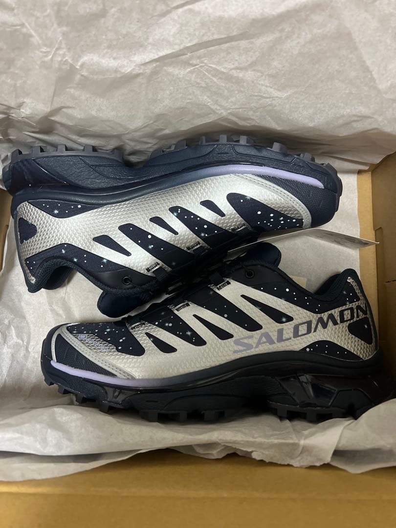 靴 Salomon XT-4 OG GORE-TEX \"Stars Collide\"