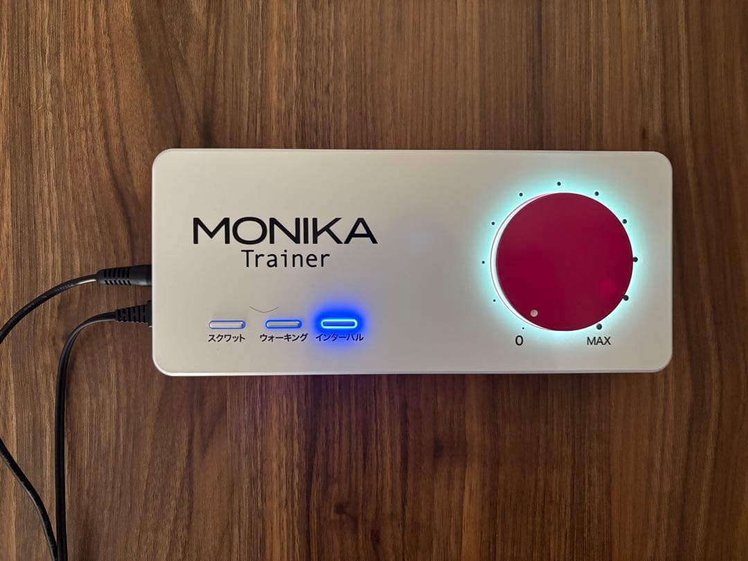モニカトレーナー パルストレーナー 3D EMS ホーマーイオン研究所