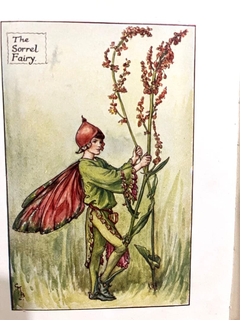No.261 希少 古書 洋書 絵本 花の妖精    フラワー フェアリーズ