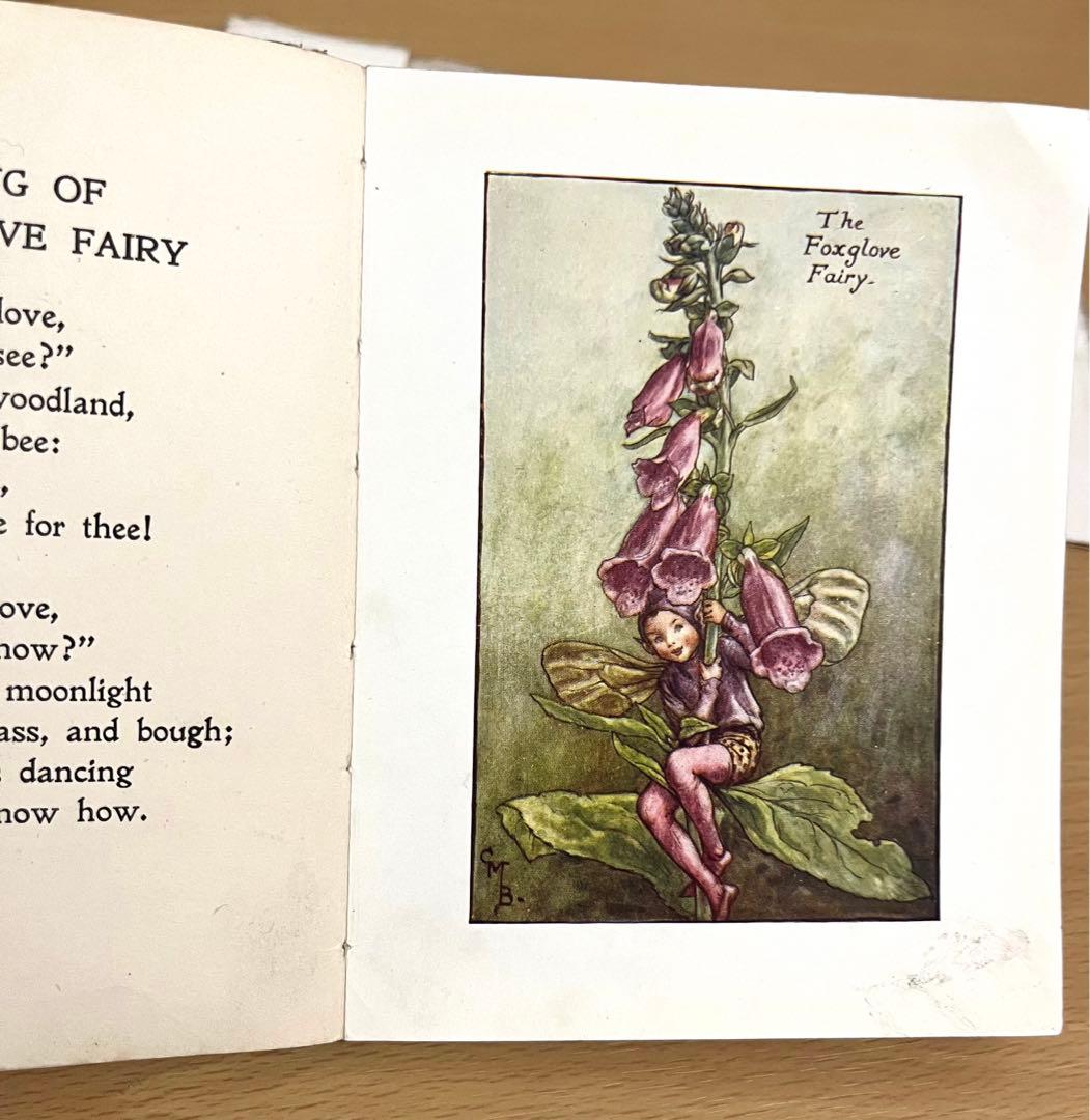 No.261 希少 古書 洋書 絵本 花の妖精    フラワー フェアリーズ