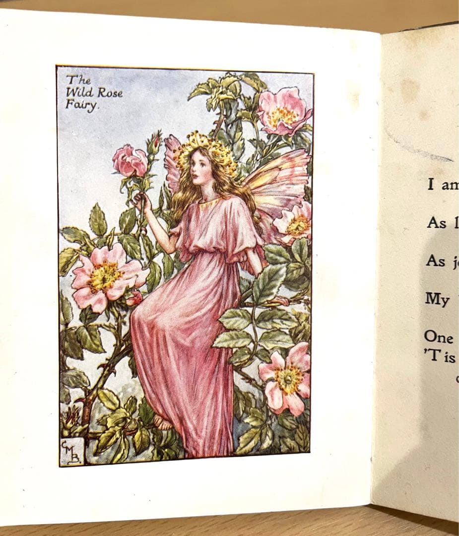 No.261 希少 古書 洋書 絵本 花の妖精    フラワー フェアリーズ