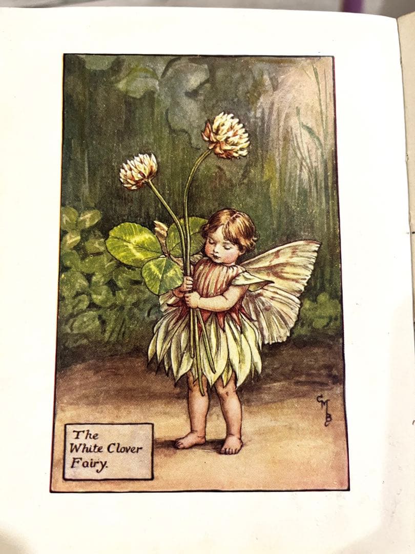No.261 希少 古書 洋書 絵本 花の妖精    フラワー フェアリーズ