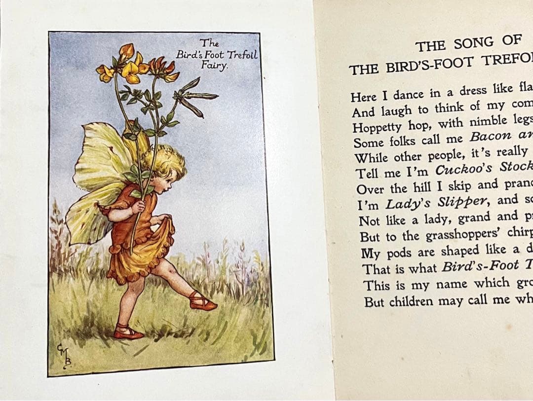 No.261 希少 古書 洋書 絵本 花の妖精    フラワー フェアリーズ