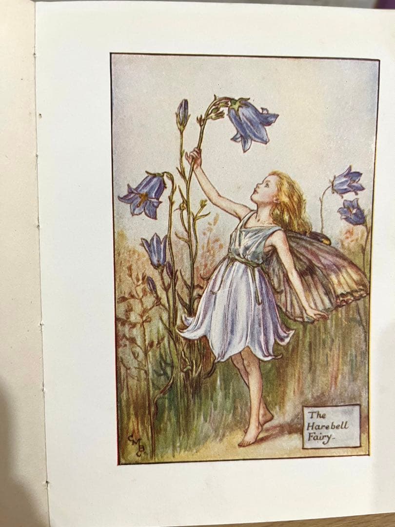 No.261 希少 古書 洋書 絵本 花の妖精    フラワー フェアリーズ