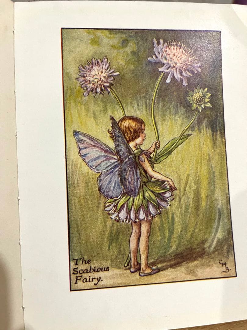 No.261 希少 古書 洋書 絵本 花の妖精    フラワー フェアリーズ