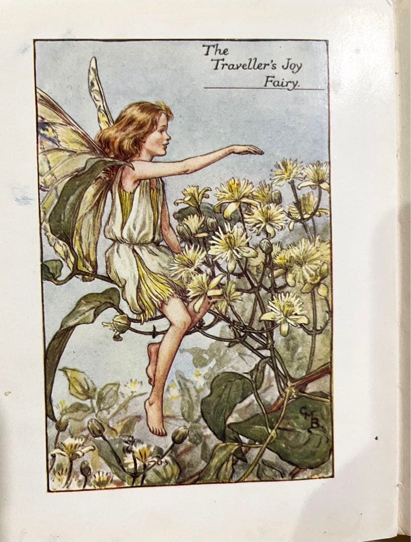 No.261 希少 古書 洋書 絵本 花の妖精    フラワー フェアリーズ