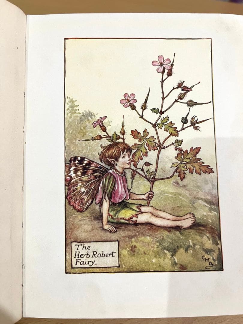 No.261 希少 古書 洋書 絵本 花の妖精    フラワー フェアリーズ