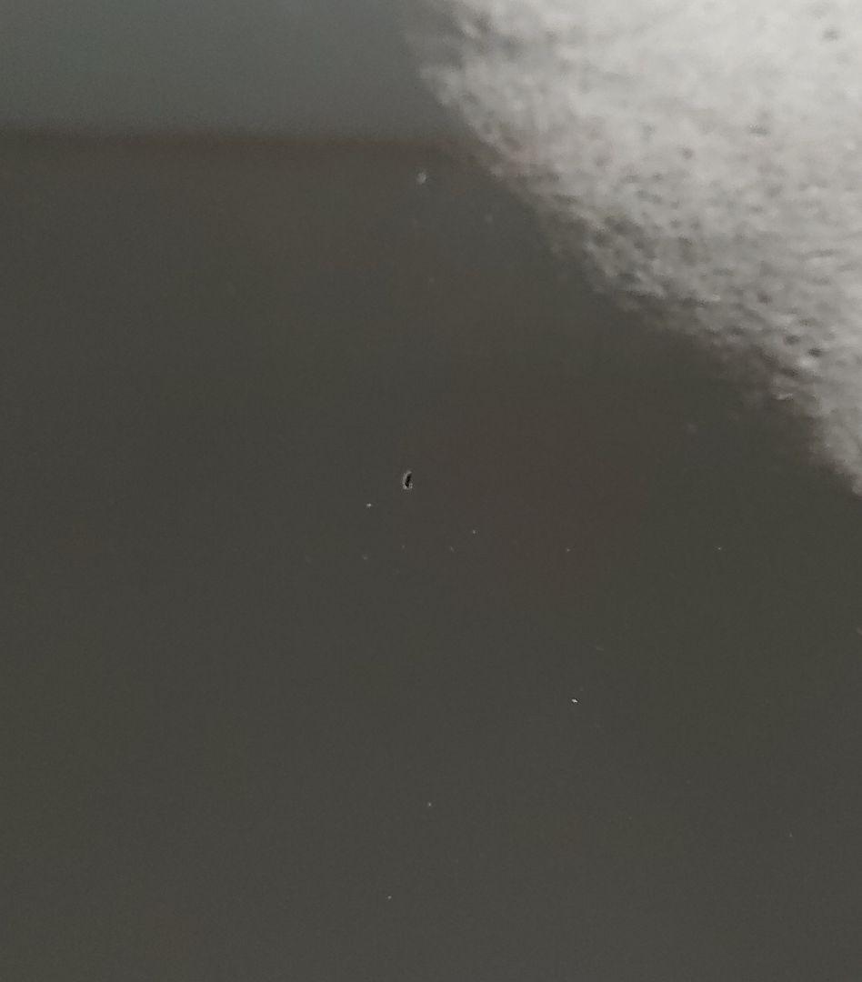 TOKONA-X トウカイxテイオー 500枚限定 LPレコード トコナエックス