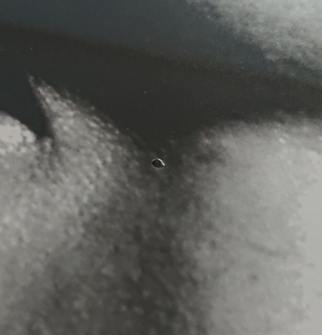 TOKONA-X トウカイxテイオー 500枚限定 LPレコード トコナエックス