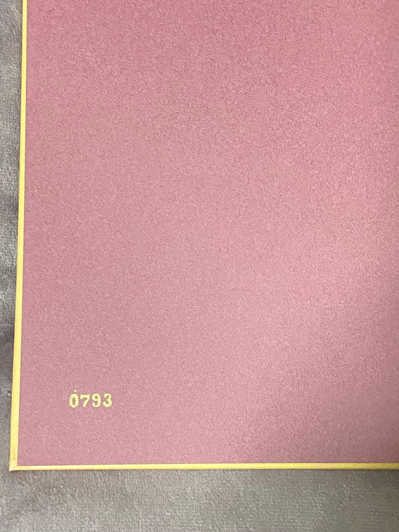 はせくらみゆき画集「ガイアの祈り」La preghiera di Gaia