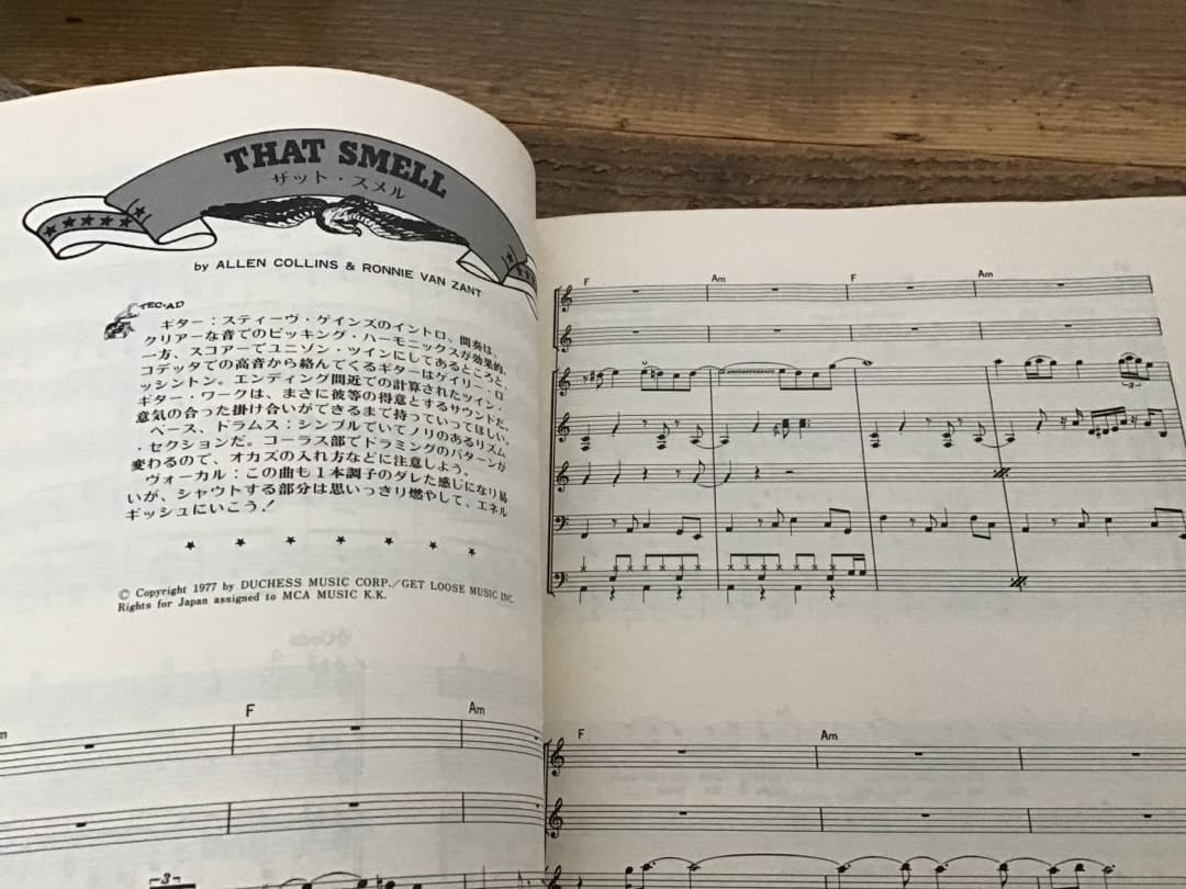 ★レーナード・スキナード/楽譜/バンドスコア/ロックベストヒッツ