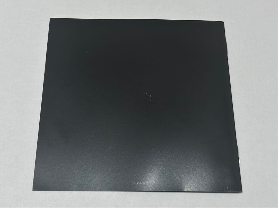 【激レア】-真天地開闢集団ジグザグ-廃盤CD音源ペサ・シェルヴェゼル