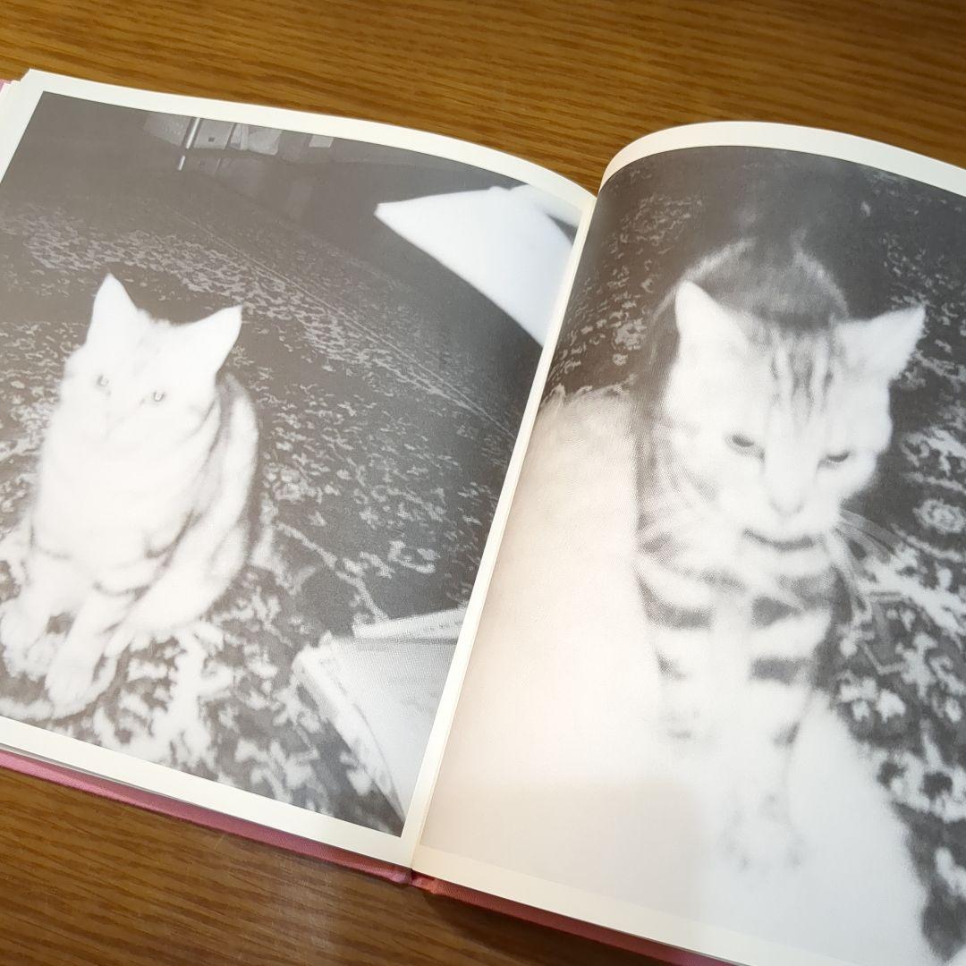 R*K様 【絶版レア品】櫻井敦司 夜想 DVD有り、チラシ付