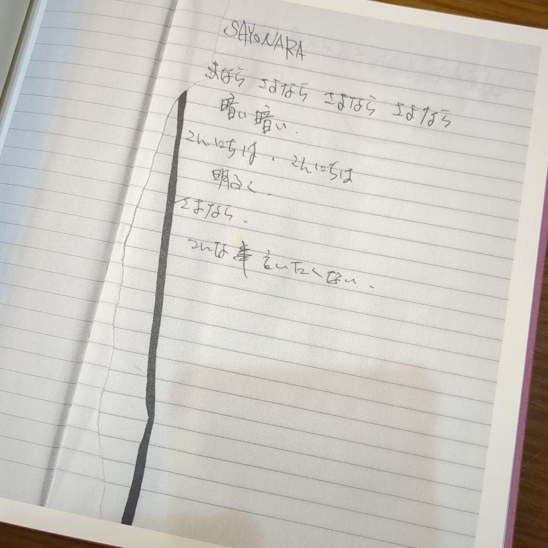 R*K様 【絶版レア品】櫻井敦司 夜想 DVD有り、チラシ付