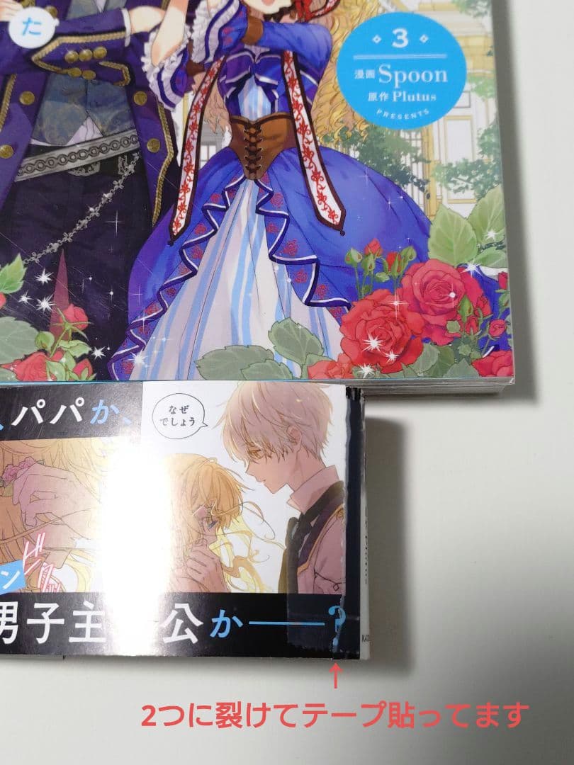 異世界コミック ある日、お姫様になってしまった件について　全巻