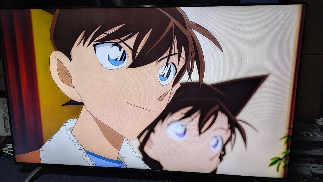 【kuzmさま用】アイリスオーヤマ　4K液晶テレビ LT-65B628VC