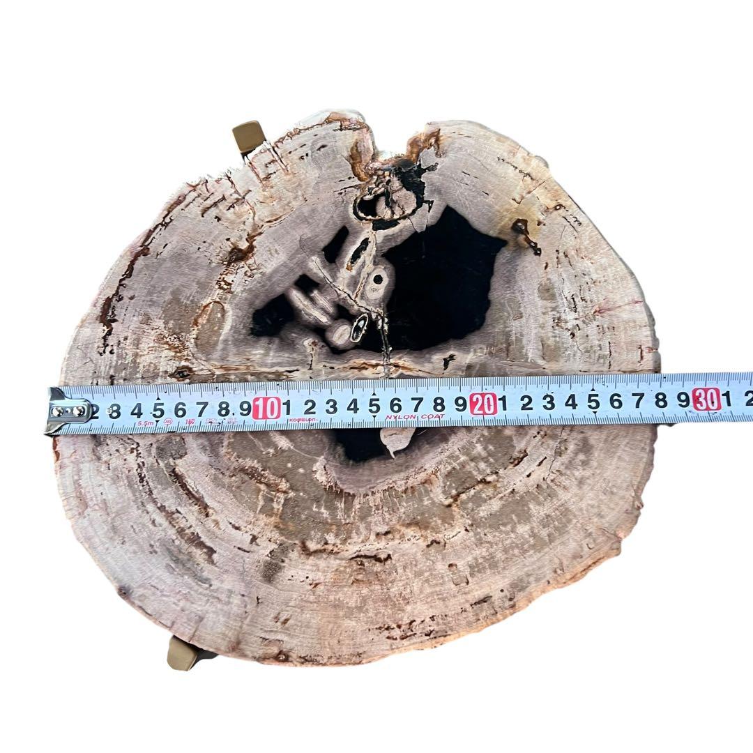 KAJA カジャ 木化石 サイドテーブル (H55)